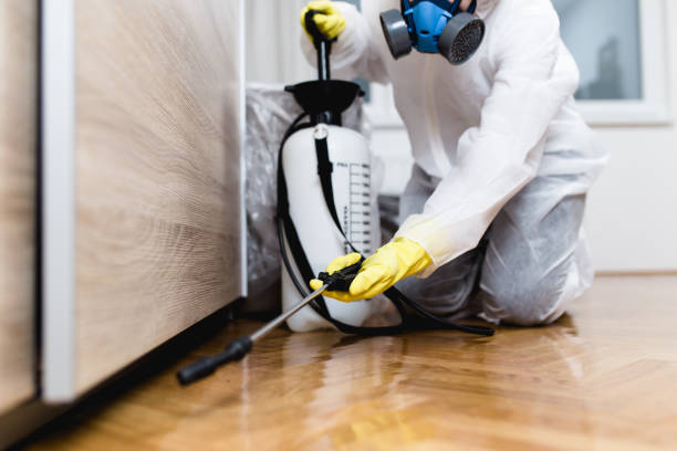 Professional Pest Control in Marthasville, MO