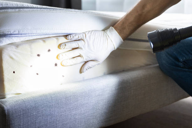 Best Residential Pest Control  in Marthasville, MO
